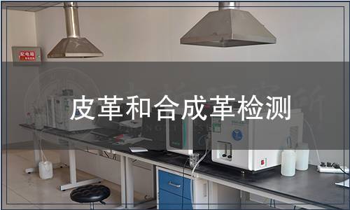 皮革和合成革检测