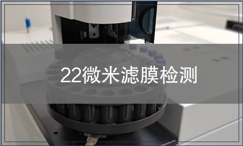 22微米滤膜检测