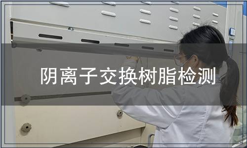 阴离子交换树脂检测