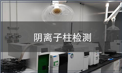 阴离子柱检测