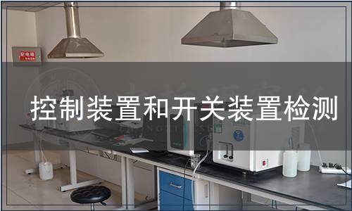 控制装置和开关装置检测
