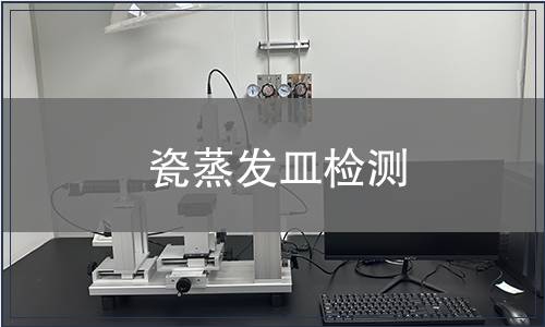 瓷蒸发皿检测