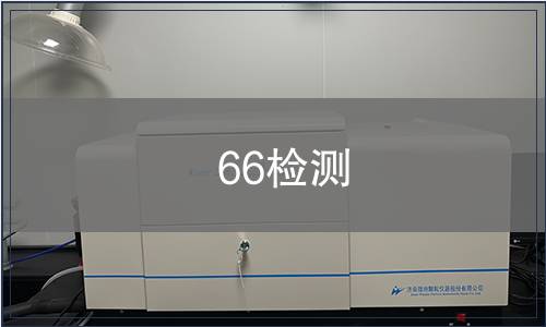 66检测