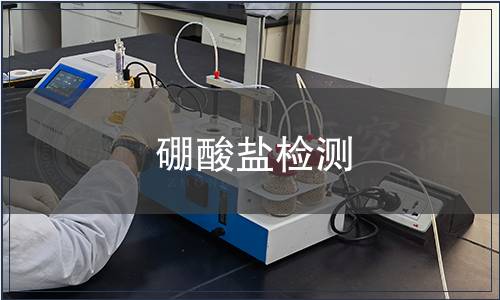 硼酸盐检测