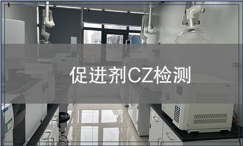 促进剂CZ检测