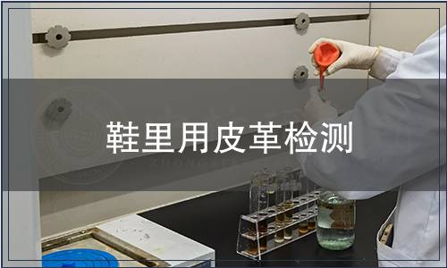 鞋里用皮革检测
