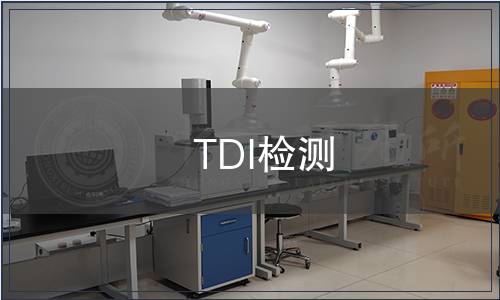 TDI检测