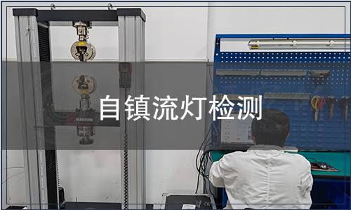 自镇流灯检测
