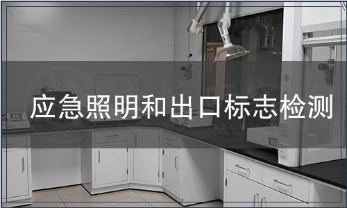 应急照明和出口标志检测