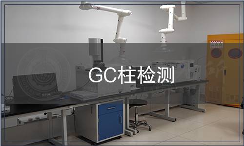 GC柱检测