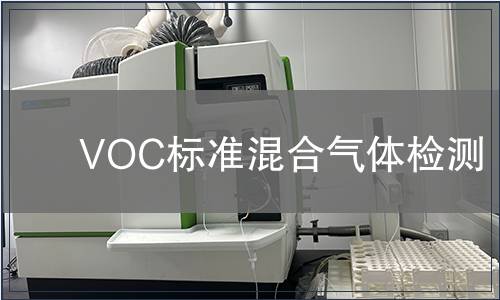 VOC标准混合气体检测