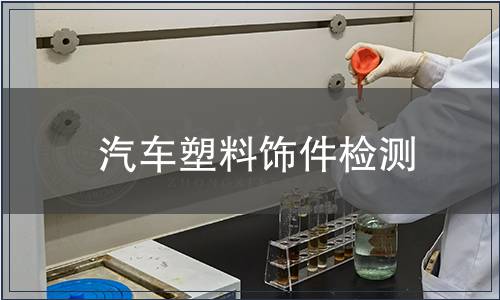 汽车塑料饰件检测