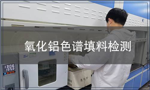 氧化铝色谱填料检测