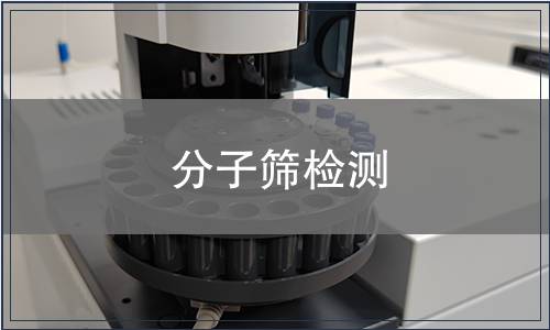 分子筛检测