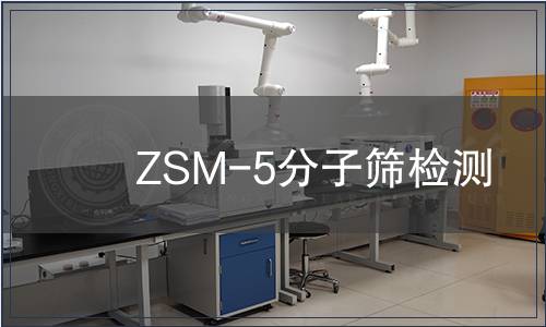 ZSM-5分子筛检测