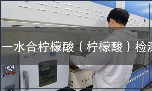 一水合柠檬酸（柠檬酸）检测