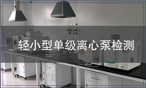 轻小型单级离心泵检测