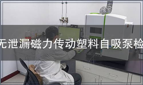 无泄漏磁力传动塑料自吸泵检测
