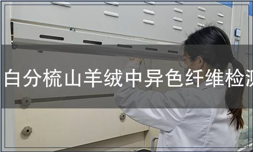 白分梳山羊绒中异色纤维检测