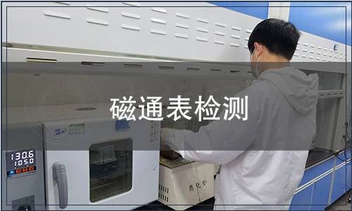 磁通表检测