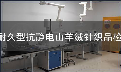 耐久型抗静电山羊绒针织品检测