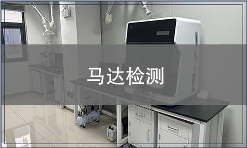 马达检测