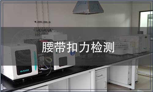 腰带扣力检测