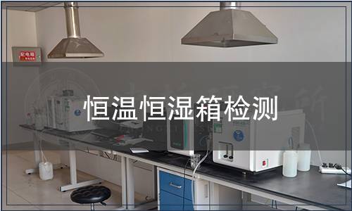 恒温恒湿箱检测