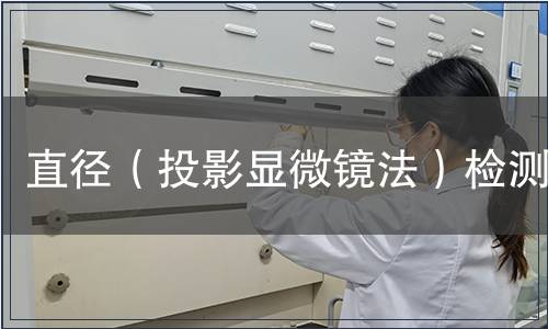 直径（投影显微镜法）检测