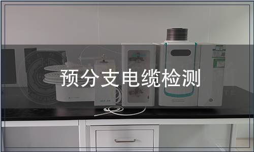 预分支电缆检测