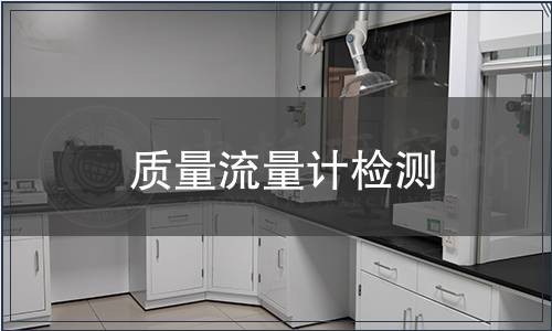 质量流量计检测