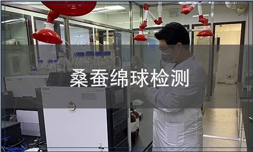 桑蚕绵球检测