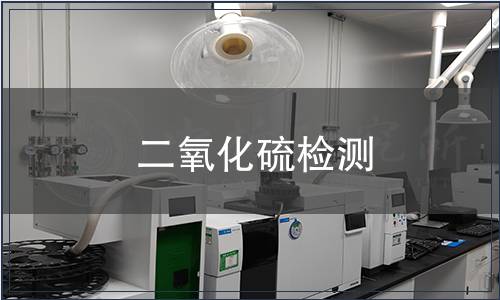 二氧化硫检测