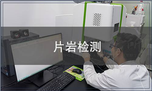 片岩检测