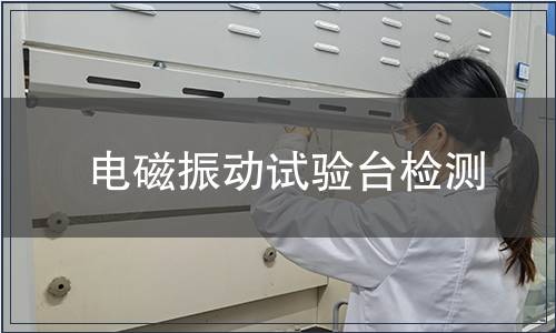 电磁振动试验台检测