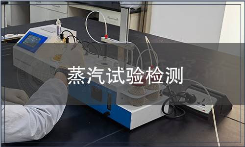 蒸汽试验检测