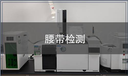 腰带检测