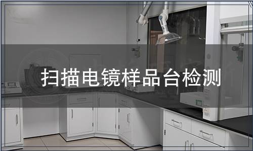 扫描电镜样品台检测