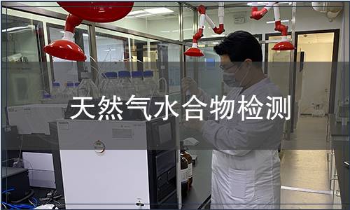 天然气水合物检测