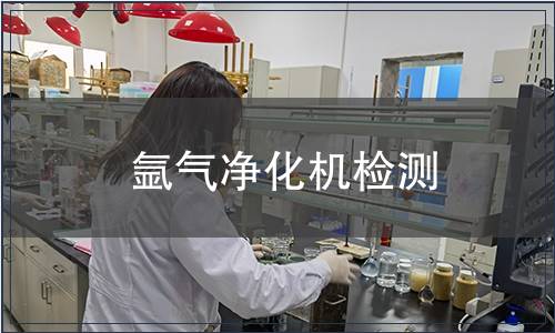 氩气净化机检测