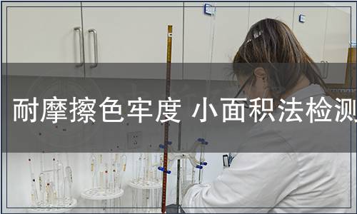 耐摩擦色牢度 小面积法检测