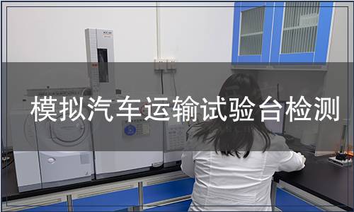 模拟汽车运输试验台检测