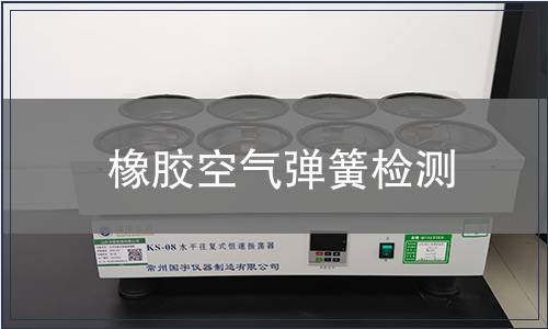 橡胶空气弹簧检测