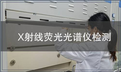 X射线荧光光谱仪检测