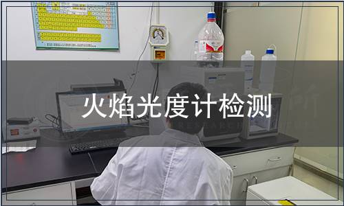 火焰光度计检测
