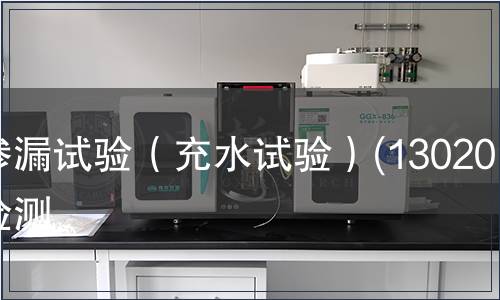 渗漏试验（充水试验）(130201)检测