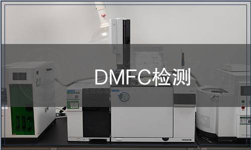 DMFC检测