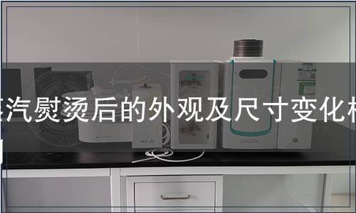 蒸汽熨烫后的外观及尺寸变化检测