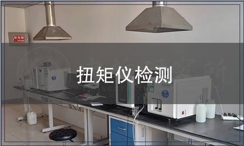 扭矩仪检测
