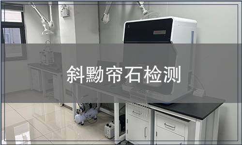 斜黝帘石检测